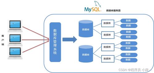MySQL核心概念與IDEA連接實踐 從SQL語法分類到數據庫設計規范